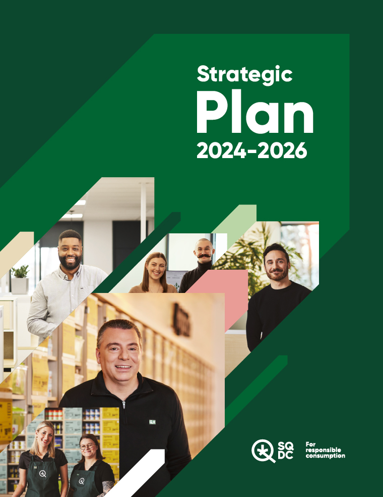Strategic Plan 2024-2026