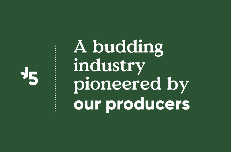 A budding industry pioneered by our producers