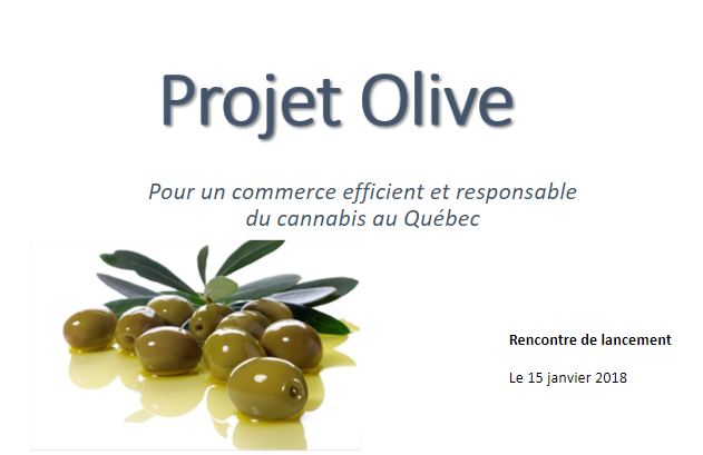 Projet Olive